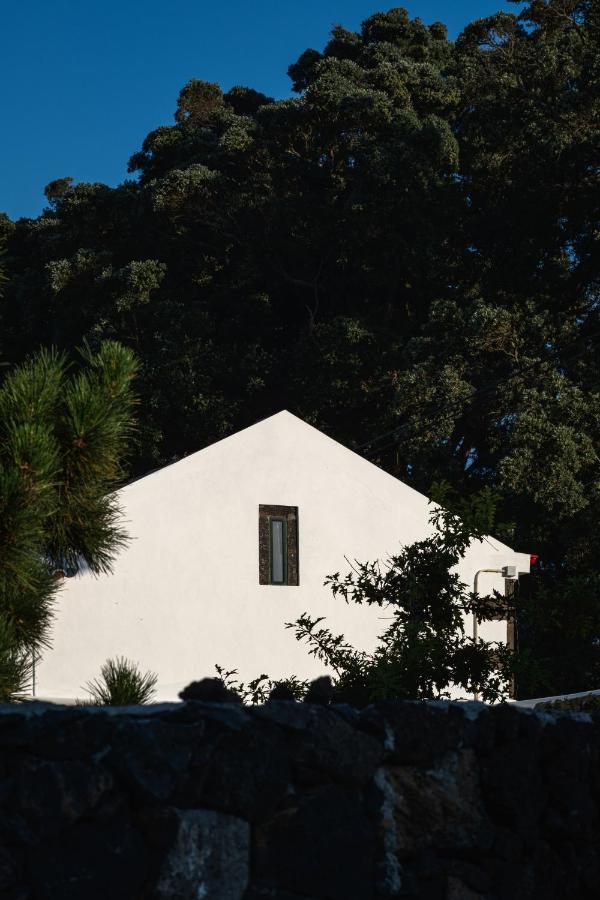 Entre Muros - Turismo Rural - Casa Com Jardim E Acesso Direto Ao Mar Ribeira Grande Zewnętrze zdjęcie